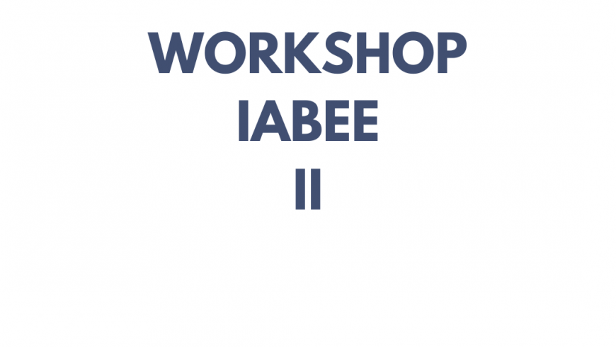 Workshop IABEE II